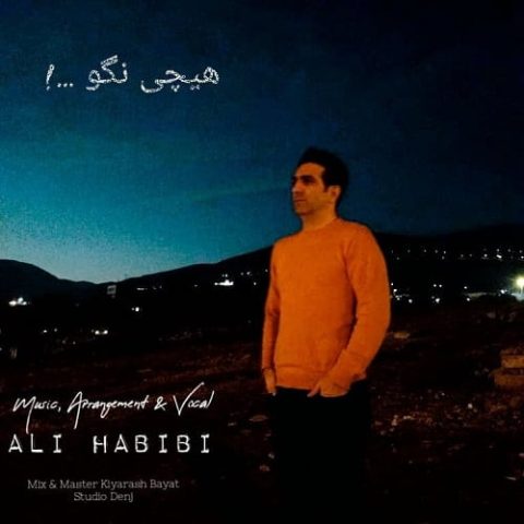 علی حبیبی - هیچی نگو