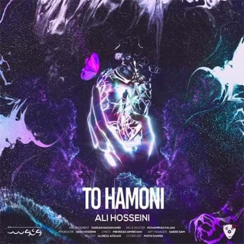 علی حسینی - تو همونی