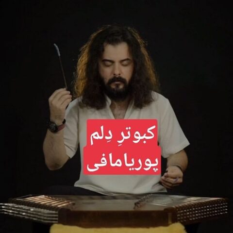 پوریا مافی - ﻛﺒﻮﺗﺮ دﻟﻢ