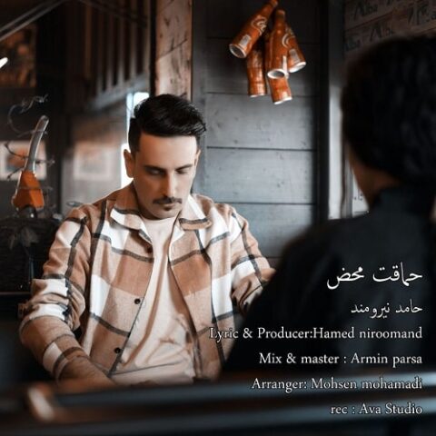 حامد نیرومند - حماقت محض