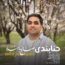 صالح پناهنده - حنابندی