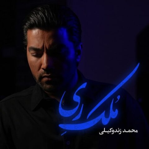 محمد زندوکیلی - ملک ری
