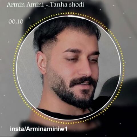 آرمین امینی - تنها شدی