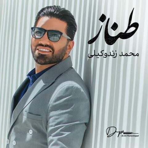 محمد زندوکیلی - طناز
