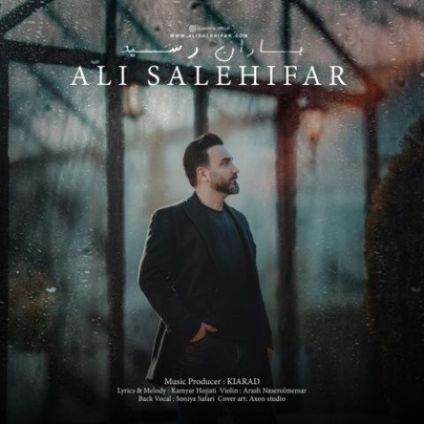 علی صالحی فر - باران رسید