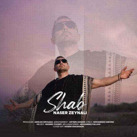 ناصر زینعلی - شب