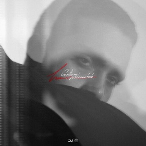 حامیم - قلبمو پس به من بده