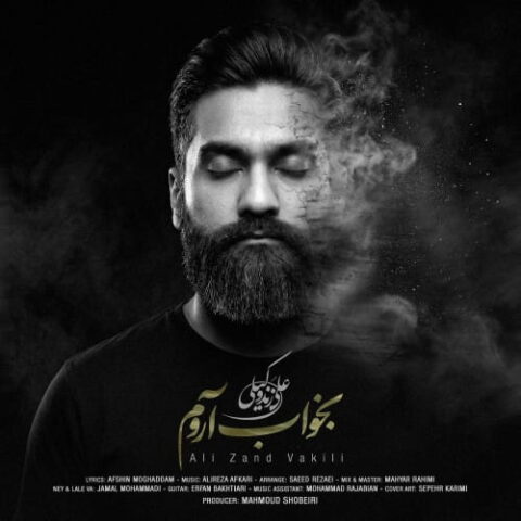 علی زندوکیلی - بخواب آروم