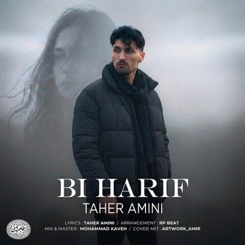 طاهر امینی - بی حریف