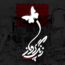 غلامرضا صنعتگر - زنگ پرواز