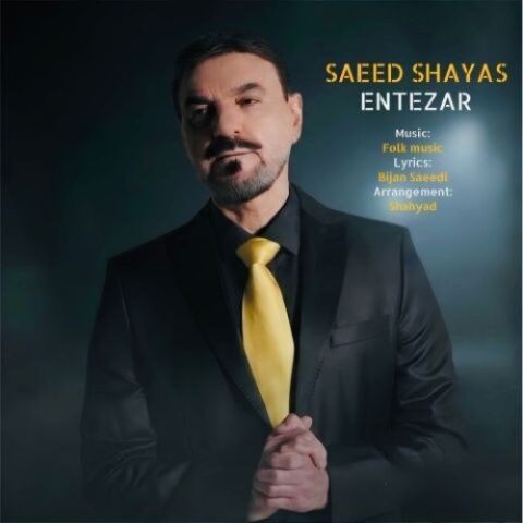 سعید شایاس - انتظار