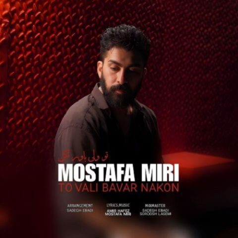 مصطفی میری - تو ولی باور نکن