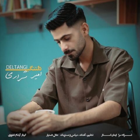 امیر شراری - دلتنگی
