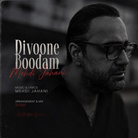 مهدی جهانی - دیوونه بودم
